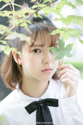 新澳天天彩免费资料大全特色_: 生动的案例分析，难道不值得我们借鉴吗？